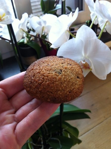 Chocolade/amandelkoekjes (LV – GV)